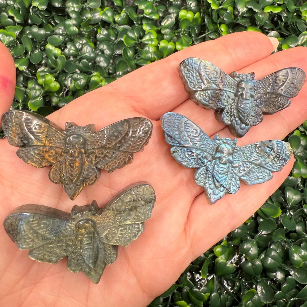 Flashy Labradorite Death Head Moth Carving